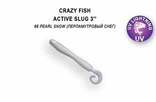 Силіконова приманка Crazy Fish Active Slug 3" 30-70-66-6 фото