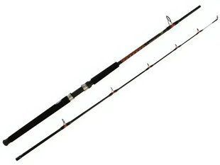 Вудилище човнове силове Salmo Power Stick BOAT 100-200 2394-210 фото