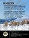 Шкарпетки Norfin T3A NORDIC MERINO HIKING CREW (25% вовна, 55% акрил,18% Ny, 2% эласт) 304732-04XL фото 5