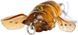 Воблер Savage Gear 3D Cicada F 33mm 3.5g Green 1854.11.64 фото 2